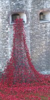 poppies tower